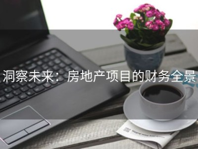 洞察未来：房地产项目的财务全景