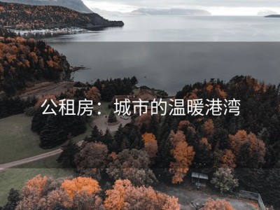 公租房：城市的温暖港湾