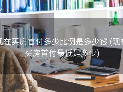 现在买房首付多少比例是多少钱 (现在买房首付最低是多少)