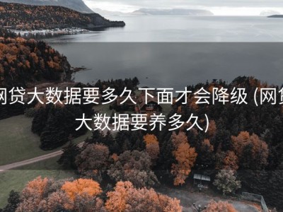 网贷大数据要多久下面才会降级 (网贷大数据要养多久)
