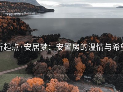 新起点·安居梦：安置房的温情与希望