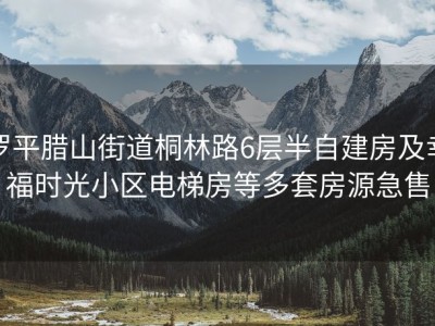 罗平腊山街道桐林路6层半自建房及幸福时光小区电梯房等多套房源急售