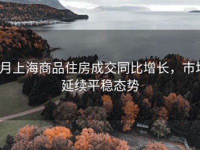5月上海商品住房成交同比增长，市场延续平稳态势