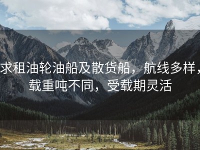 求租油轮油船及散货船，航线多样，载重吨不同，受载期灵活