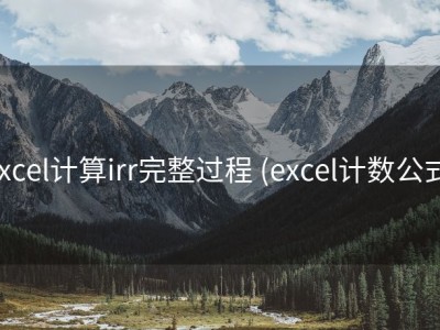 excel计算irr完整过程 (excel计数公式)