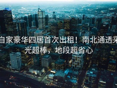 自家豪华四居首次出租！南北通透采光超棒，地段超省心