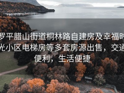 罗平腊山街道桐林路自建房及幸福时光小区电梯房等多套房源出售，交通便利，生活便捷