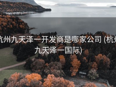 杭州九天泽一开发商是哪家公司 (杭州九天泽一国际)