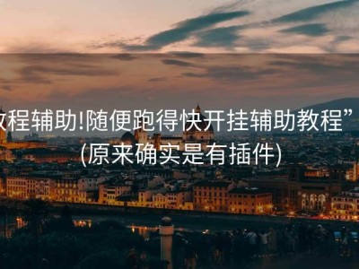教程辅助!随便跑得快开挂辅助教程””(原来确实是有插件)