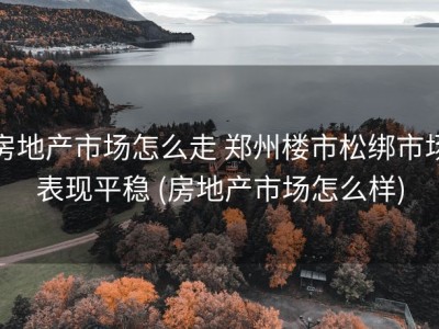 房地产市场怎么走 郑州楼市松绑市场表现平稳 (房地产市场怎么样)