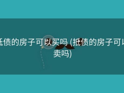 抵债的房子可以买吗 (抵债的房子可以卖吗)