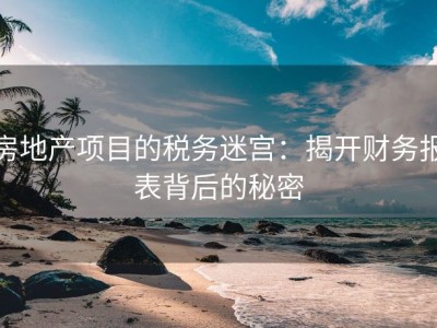 房地产项目的税务迷宫：揭开财务报表背后的秘密