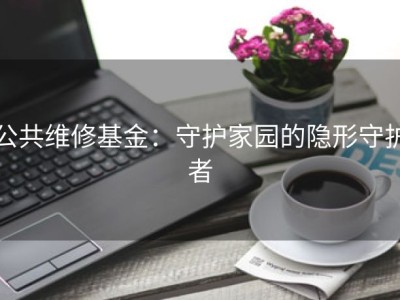 公共维修基金：守护家园的隐形守护者