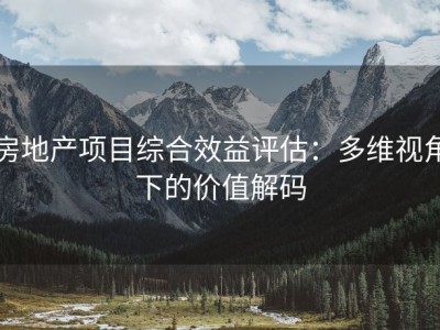 房地产项目综合效益评估：多维视角下的价值解码