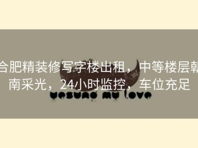 合肥精装修写字楼出租，中等楼层朝南采光，24小时监控，车位充足