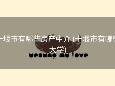 十堰市有哪些房产中介 (十堰市有哪些大学)