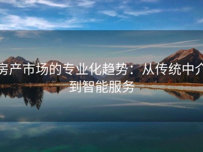 房产市场的专业化趋势：从传统中介到智能服务
