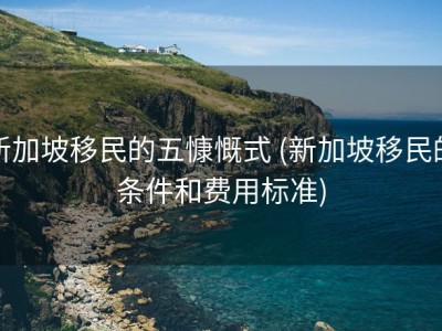 新加坡移民的五慷慨式 (新加坡移民的条件和费用标准)