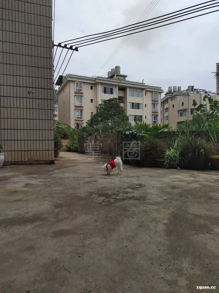 出租出售图片_出租出售房屋广告怎么写_出租出售