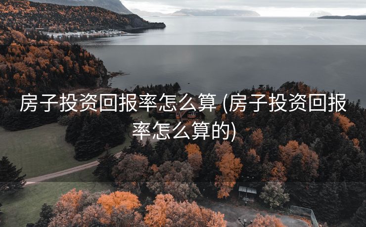 房子投资回报率怎么算 (房子投资回报率怎么算的)