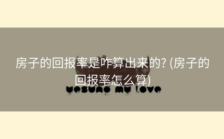 房子的回报率是咋算出来的? (房子的回报率怎么算)