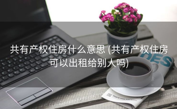 共有产权住房什么意思 (共有产权住房可以出租给别人吗)
