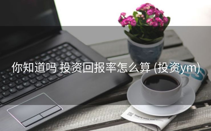 你知道吗 投资回报率怎么算 (投资ym)