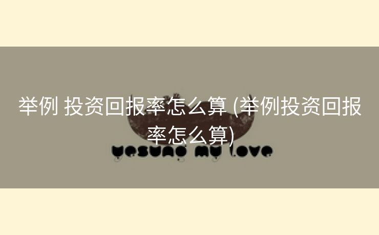 举例 投资回报率怎么算 (举例投资回报率怎么算)