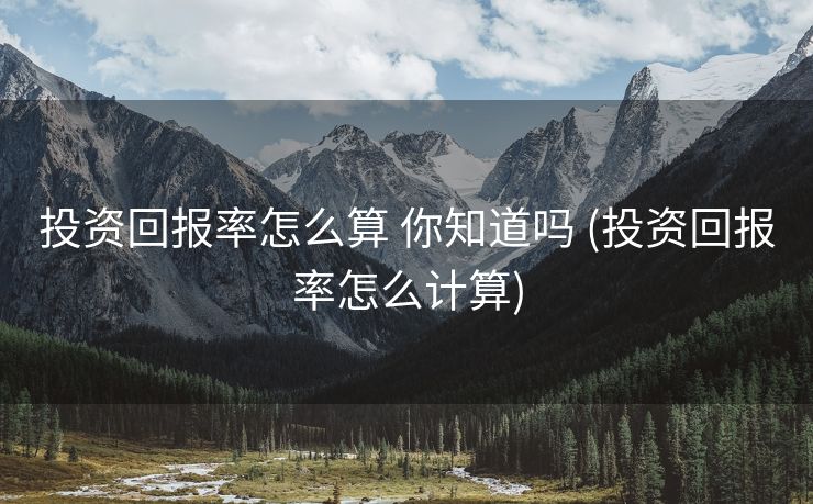 投资回报率怎么算 你知道吗 (投资回报率怎么计算)