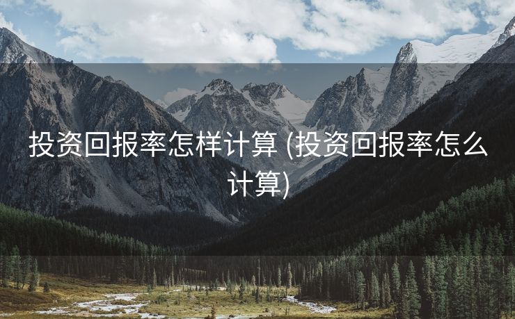 投资回报率怎样计算 (投资回报率怎么计算)