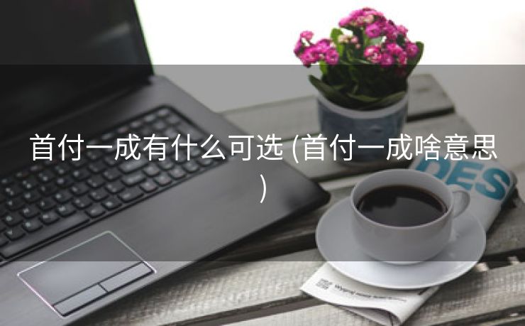 首付一成有什么可选 (首付一成啥意思)