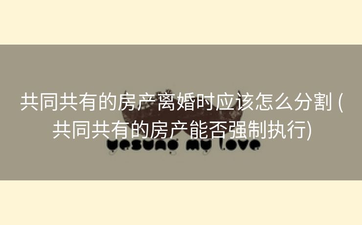 共同共有的房产离婚时应该怎么分割 (共同共有的房产能否强制执行)