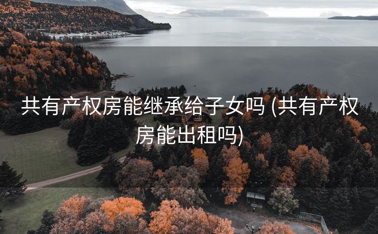 共有产权房能继承给子女吗 (共有产权房能出租吗)