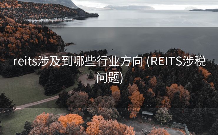 reits涉及到哪些行业方向 (REITS涉税问题)
