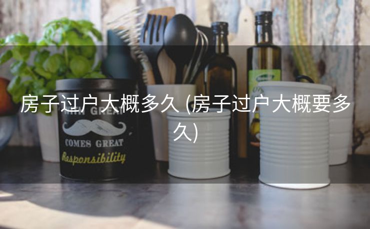 房子过户大概多久 (房子过户大概要多久)