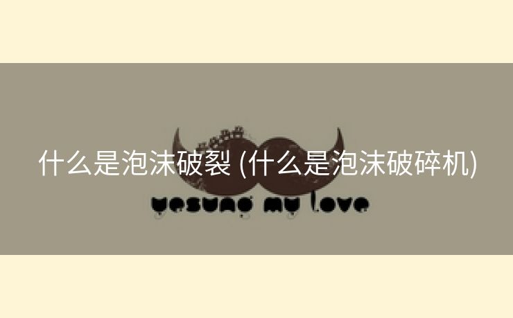 什么是泡沫破裂 (什么是泡沫破碎机)