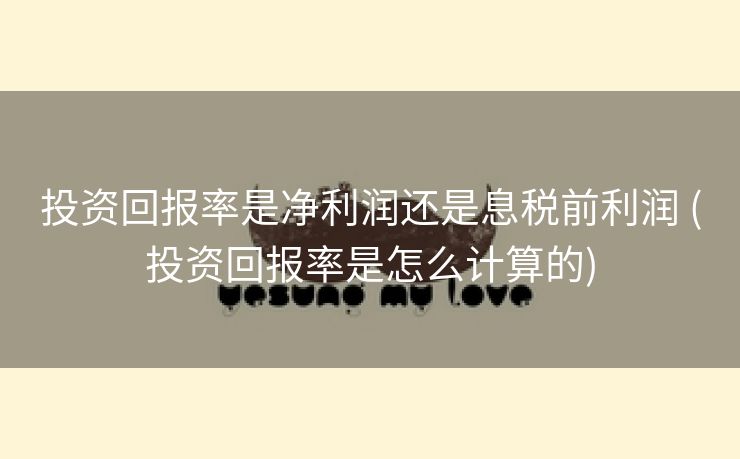 投资回报率是净利润还是息税前利润 (投资回报率是怎么计算的)
