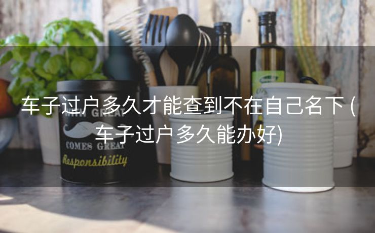车子过户多久才能查到不在自己名下 (车子过户多久能办好)