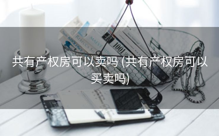 共有产权房可以卖吗 (共有产权房可以买卖吗)