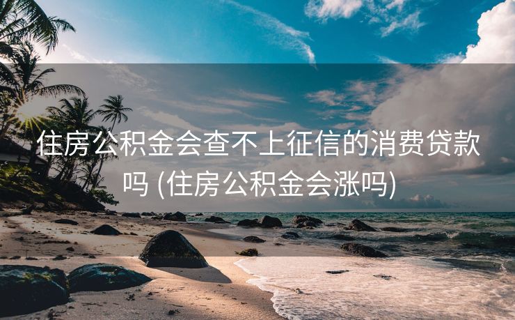 住房公积金会查不上征信的消费贷款吗 (住房公积金会涨吗)