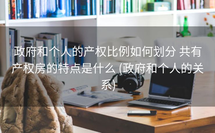 政府和个人的产权比例如何划分 共有产权房的特点是什么 (政府和个人的关系)