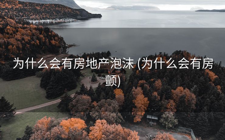 为什么会有房地产泡沫 (为什么会有房颤)