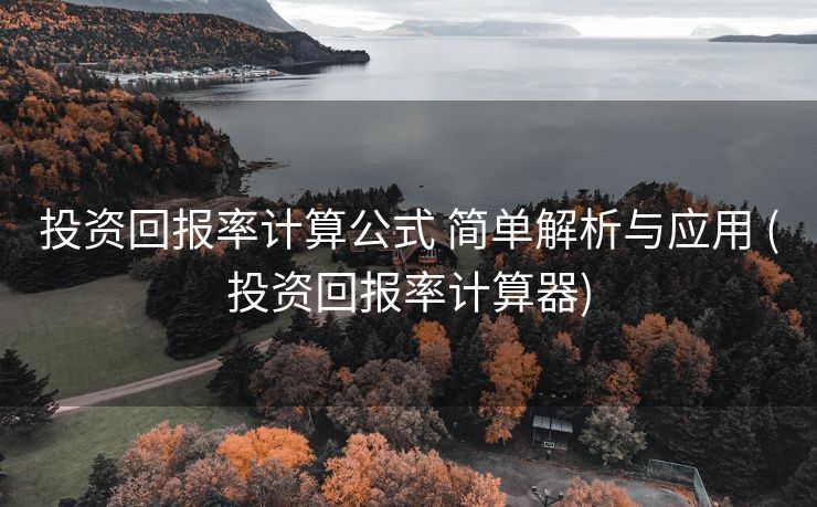 投资回报率计算公式 简单解析与应用 (投资回报率计算器)