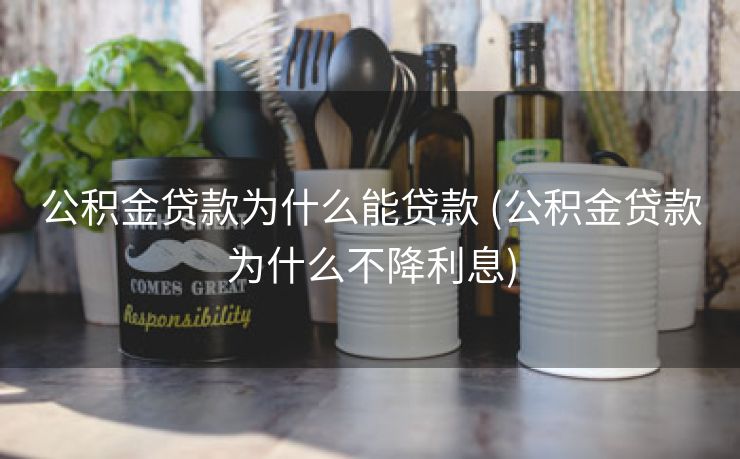 公积金贷款为什么能贷款 (公积金贷款为什么不降利息)