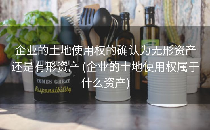企业的土地使用权的确认为无形资产还是有形资产 (企业的土地使用权属于什么资产)