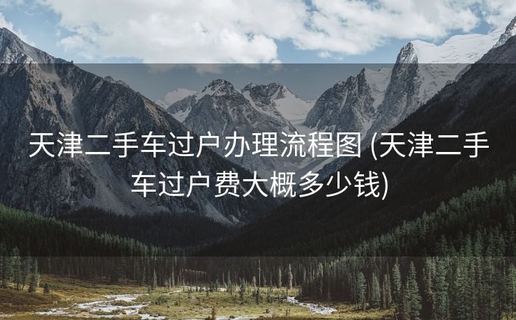 天津二手车过户办理流程图 (天津二手车过户费大概多少钱)