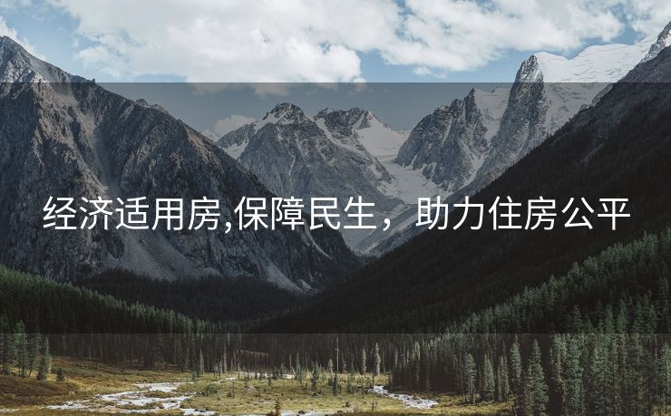 经济适用房,保障民生，助力住房公平