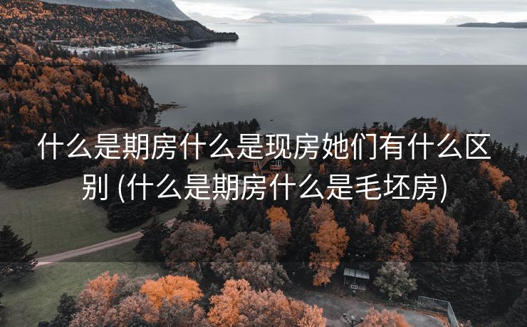 什么是期房什么是现房她们有什么区别 (什么是期房什么是毛坯房)