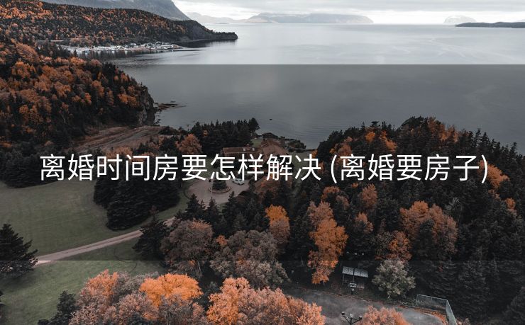 离婚时间房要怎样解决 (离婚要房子)
