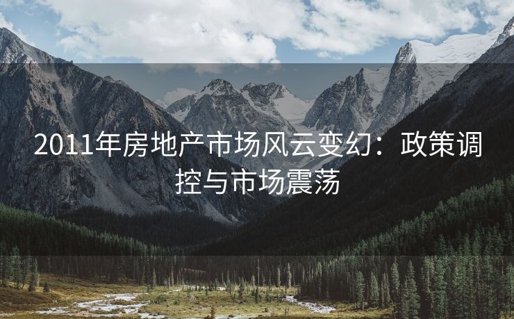2011年房地产市场风云变幻：政策调控与市场震荡